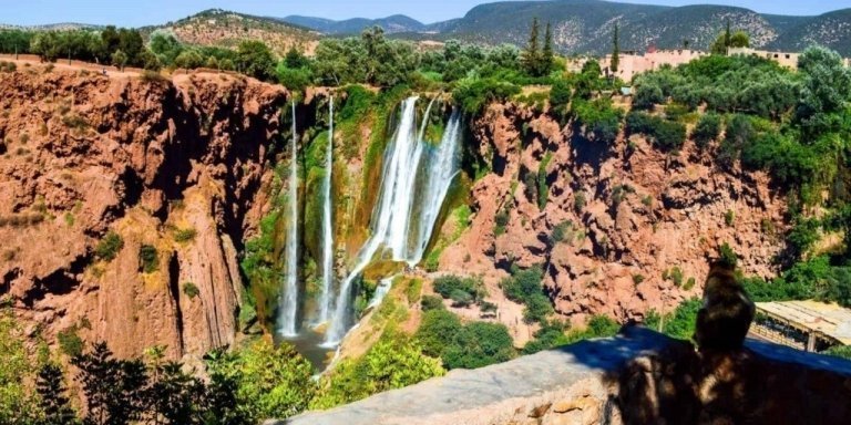 From Marrakech: Ouzoud Waterfalls Guided Day Trip with Boat Ride