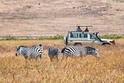 African Wildlife Safari in Northern Tanzania - Private Tour, 4 Days African Wildlife Safari in Northern Tanzania - Private Tour, 4 Days
