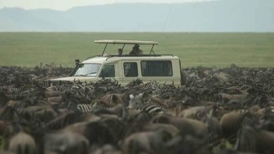 Private Safari Tanzania - 4 Days Private Safari Tanzania - 4 Days
