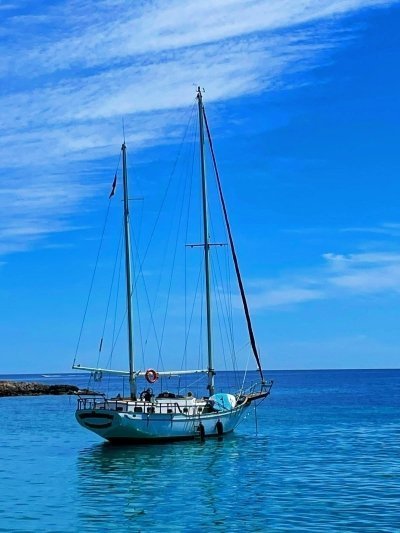 Star Drink Experience