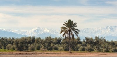 Marrakesh Historical and Cultural Half Day Guided Tour