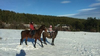 Advanced Horse Riding Multi-Day trip across Rila mountain