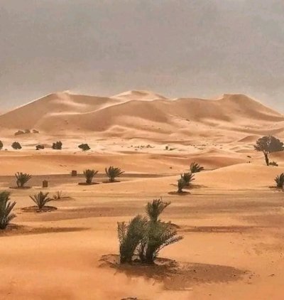 discover the real Moroccan  desrt .