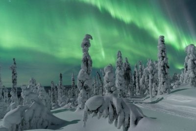 Aurora trip and Snowshoes in Lake Rautusjarvi