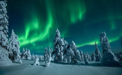 Aurora Borealis Experience in Sonkamuotka