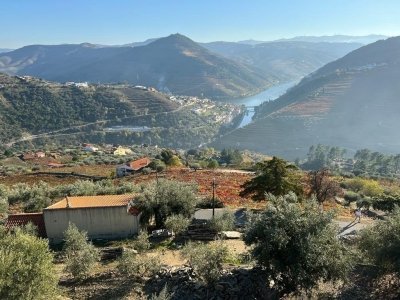 Douro Valley Port Wine Private Tour