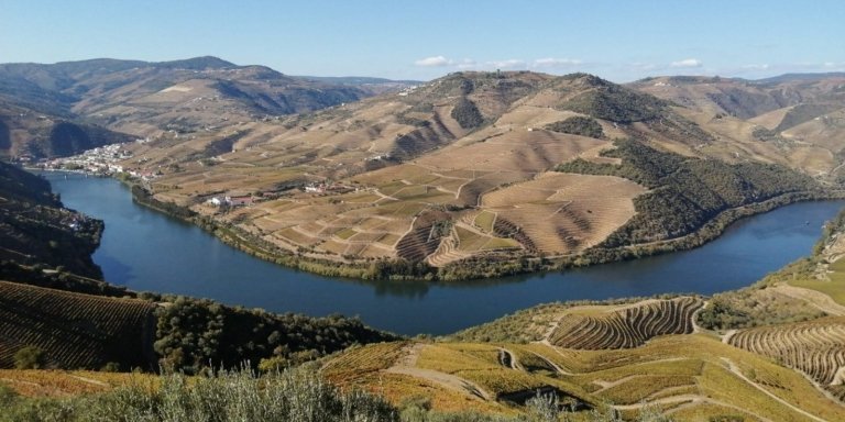 Douro Valley Wine Tour With Friends & Traditional Lunch