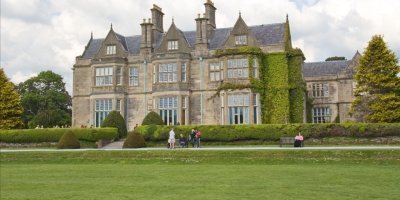 Private All Day Killarney and National Park Luxury Tour