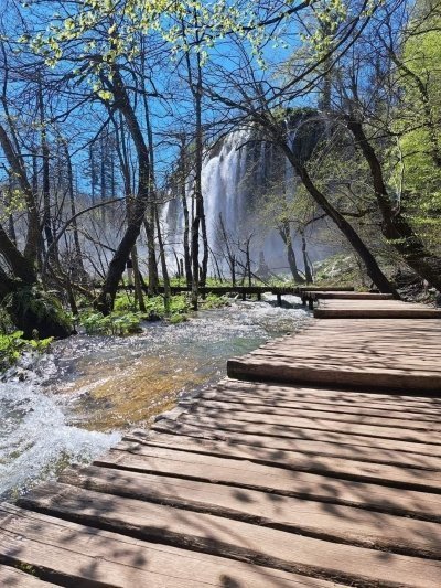 Plitvice lakes: Guided Walking Half Day Tour
