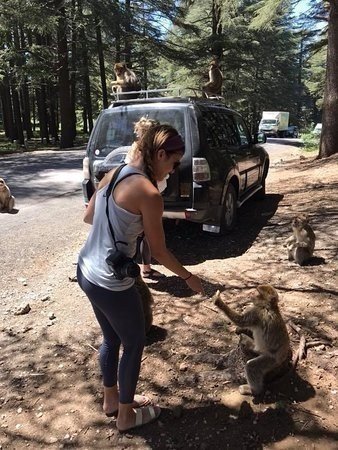 5 Days from Casablanca to Marrakech visiting Imerial and Sahara Desert