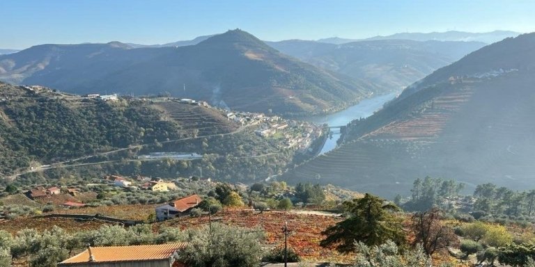 Hiking Through Douro Valley Wine Region for Half Day Tour