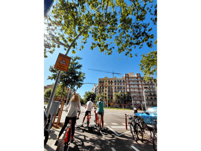 Top-25 Sights Guided City Tour by Bike or E-Bike
