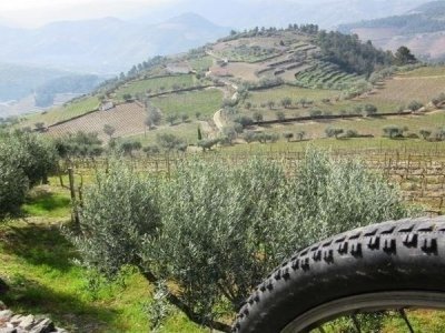 e-Bike Half Day Tour in Douro Valley Wine Region