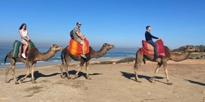 Sightseeing Day-Tours