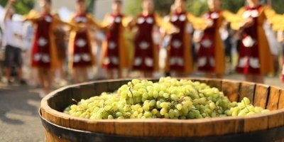 Sweet grapes of Armenia։ Wine tour