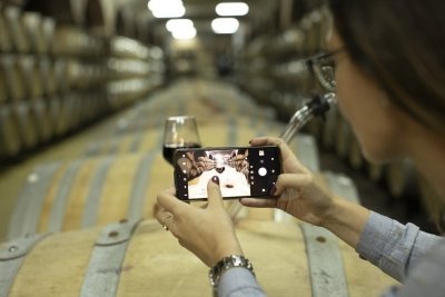 Tikvesh wine region with wine tasting