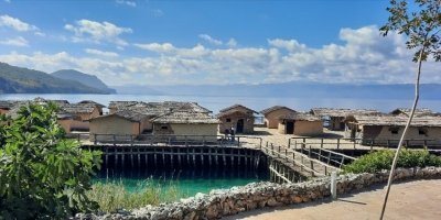 Multi-Day Tours & Cruises