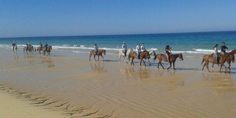 Horse Riding Portugal - Horseback Riding Tour along the Comporta Beach