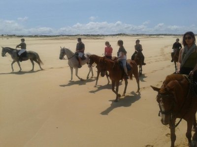 Horse Riding Portugal - Horseback Riding Tour along the Comporta Beach Horse Riding Portugal - Horseback Riding Tour along the Comporta Beach
