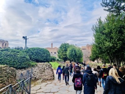 Rome: Colosseum, Forum, & Ancient Rome Guided Tour