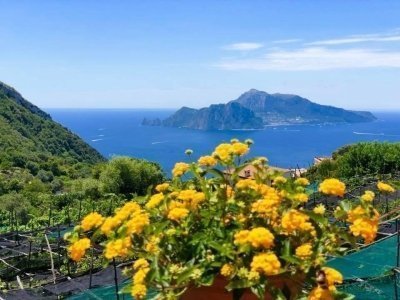 Classic amalfi coast day trip