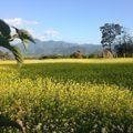 Buddha Birthplace - Pilgrimage Tour in Nepal Buddha Birthplace - Pilgrimage Tour in Nepal