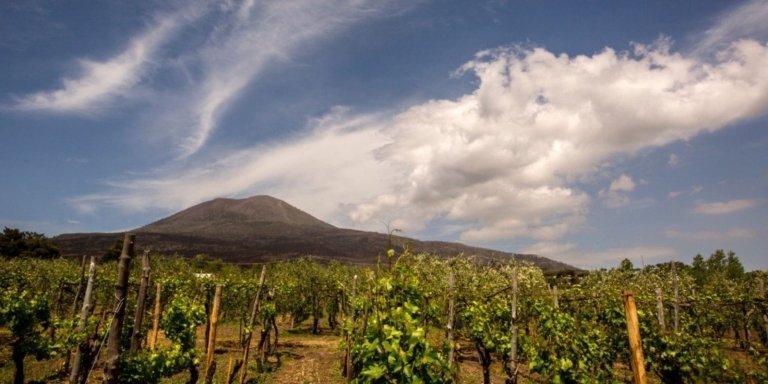 Pompeii, Herculaneum with Wine Tasting - Private Tour