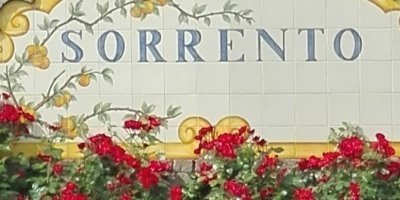 Transfers & Round-Trips