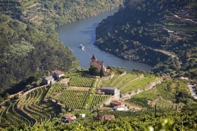From Porto: Private Douro Valley Tour with Booking Service
