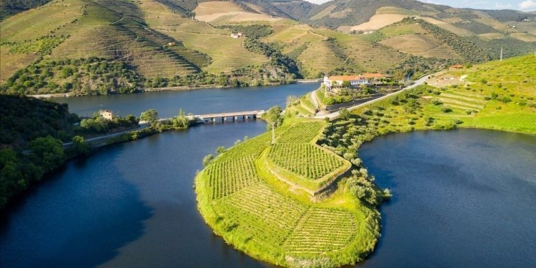 From Porto: Private Douro Valley Tour with Booking Service