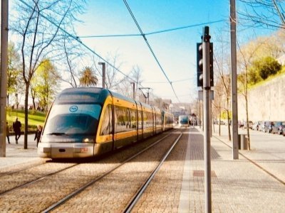 Porto: Private Half-Day as a Local Experience