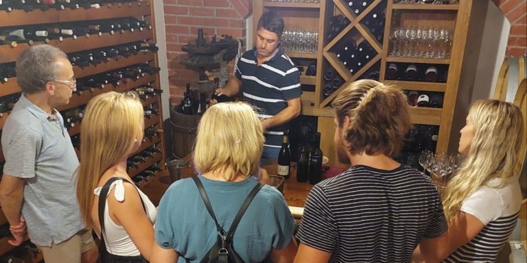 Wine Tour Peljesac