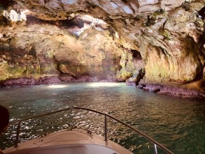 Tour privato di 1,5 ore in barca delle Grotte di Polignano