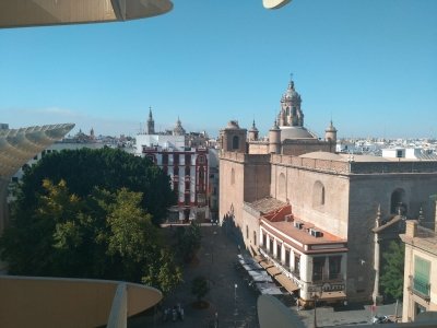 Guided Alcazar Tour and Private Rooftop Tour