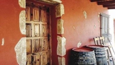 Organic Vineyard Tenerife private visit - Wine tour, Tasting & Wine Organic Vineyard Tenerife private visit - Wine tour, Tasting & Wine