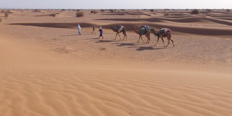 2-day Sahara camel trekking Merzouga