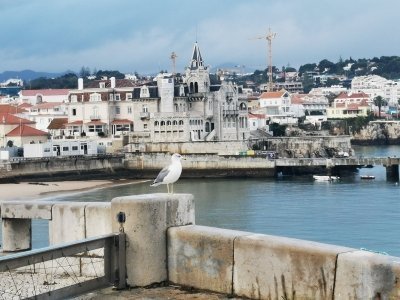 Half Day Sintra, Cabo da Roca and Cascais - Highlitghs