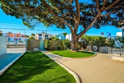 6 Day Beginner to Advanced Surf and Yoga Camp in Cascais, Lisbon