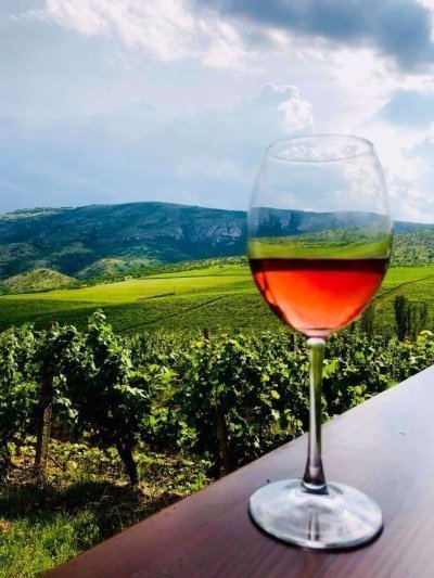 Sopot Winery Tour from Skopje