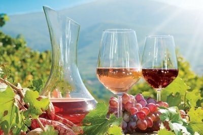 Private tour to Tikvesh Wine Region and Stobi ancient site