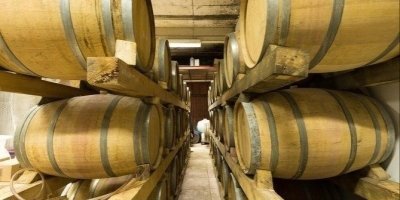 Konavle wine tasting tour from Dubrovnik with 2 vinery's