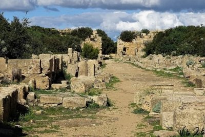 Selinunte Park