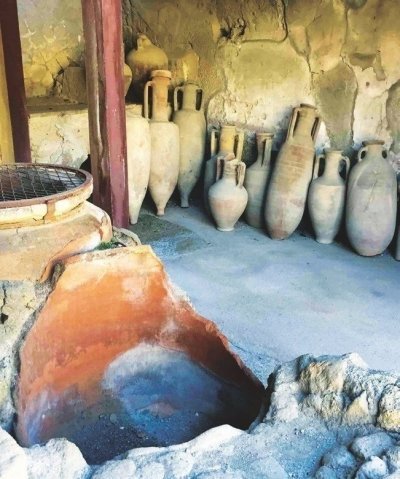 HERCULANEUM from Castellammare di Stabia guided+transfer