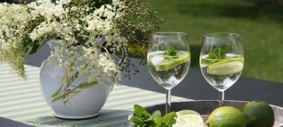 Vienna on 2 wheels - the best way to explore Vienna. (bike tour)