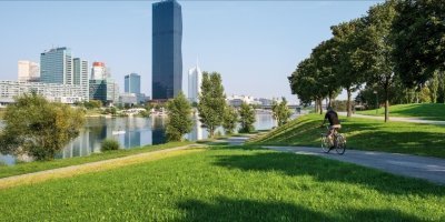 Bike Tours & Rentals