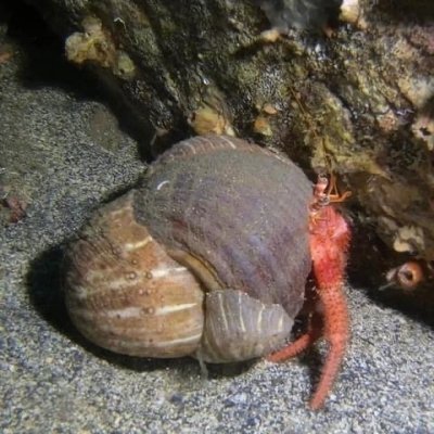 Aci Castello scuba diving for experts with small lunch