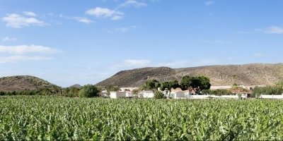 Trekking, Hiking & Riding Tours