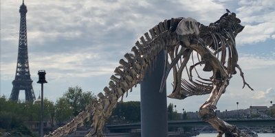 Transfers & Round-Trips