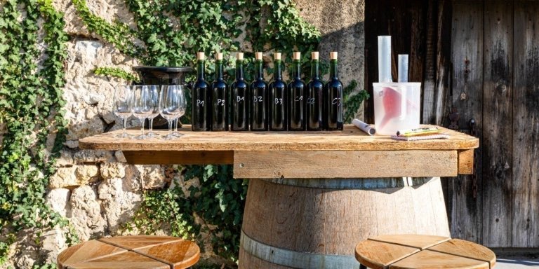 Private Immersion in the Vineyard & Oenology Training