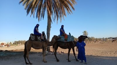 Camel Ride Agadir - Sunset Tour from a ranch